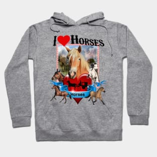 I Love Horses Cowboy Cowgirl Cottagecore Hidden Valley Ranch Country Rodeo Horse Lovers Graphic Hoodie